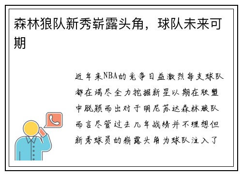 森林狼队新秀崭露头角，球队未来可期